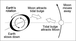 Fig5 28copy