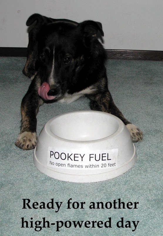 Pooky Fuel